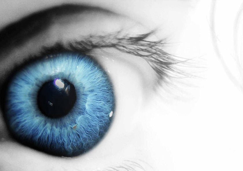 Klink Textile Pflege-Dienste - Auge